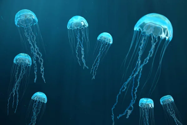 3D obrázek pozadí medúz. Medúzy plave v moři oceánu, světlo prochází do vody, vytváří efekt svazku paprsků. Nebezpečná modré medúzy — Stock fotografie