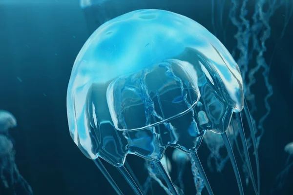 3D obrázek pozadí medúz. Medúzy plave v moři oceánu, světlo prochází do vody, vytváří efekt svazku paprsků. Nebezpečná modré medúzy — Stock fotografie