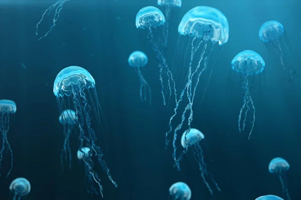 Fondo de ilustración 3D de medusas. Las medusas nadan en el mar oceánico, la luz pasa a través del agua, creando el efecto de los rayos de volumen. Medusas azules peligrosas —  Fotos de Stock