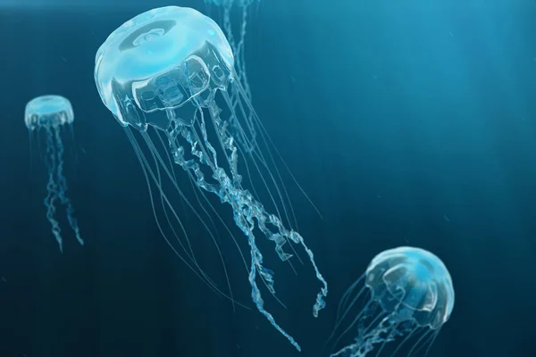 3D иллюстрация фона медузы. Медузы плавают в океане, свет проходит через воду, создавая эффект объемных лучей. Опасная голубая медуза — стоковое фото