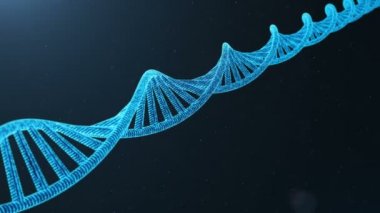Döndürülmüş 3d dijital Dna molekülü, yapısı işlenir. Kavram ikili kod insan genom. DNA molekülünün değiştirilmiş genler ile.