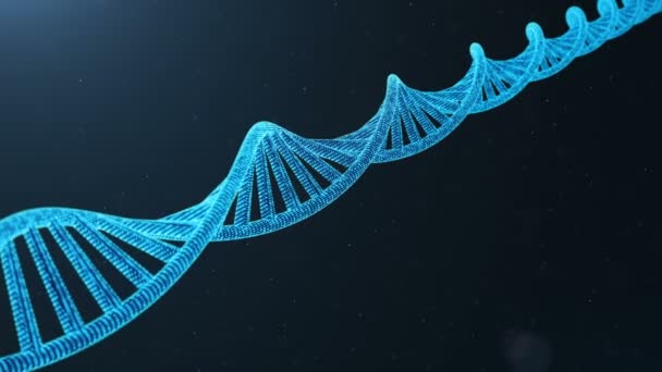 Elforgatott 3d renderelt digitális DNS-molekula, szerkezete. Koncepció bináris kód humán genom. Módosított gének DNS-molekula. — Stock videók