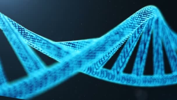 Gedraaide 3D-gerenderde digitale Dna-molecule, structuur. Concept binaire code menselijk genoom. DNA-molecule met gemodificeerde genen. — Stockvideo