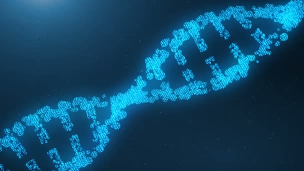 Вращающийся 3D рендеринг молекулы ДНК искусственного интеллекта. ДНК преобразуется в двоичный код. Геном бинарного кода. Абстрактная технология, концепция искусственного ДНК — стоковое видео