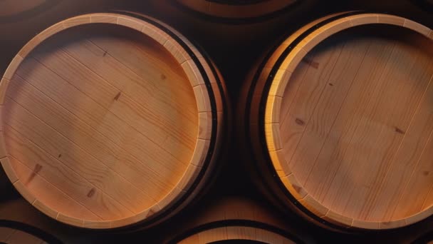 Wein oder Whisky in Gewölben. Fass im Keller. Wein, Bier, Whiskeyfässer stapeln sich im Lager. Looping-Animation. 3D-Animation — Stockvideo