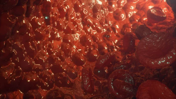 Κόκκινα κύτταρα αίματος σε φλέβα ή αρτηρία, η ροή μέσα μέσα σε ένα ζωντανό οργανισμό. Υπεύθυνη για το οξυγόνο που μεταφέρουν πάνω από, ρύθμιση ph αίματος, τροφίμων και προστασίας των κλωβών του οργανισμού, 3d απεικόνιση — Φωτογραφία Αρχείου
