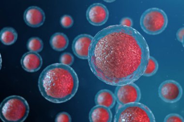 3D illüstrasyon yumurta hücreleri embriyo. Merkezinde kırmızı çekirdeği olan embriyo hücreleri. İnsan veya hayvan yumurta hücreleri. Tıp bilimsel kavramı. Mikroskop altında hücresel düzeyde kalkınma yaşayan organizma.