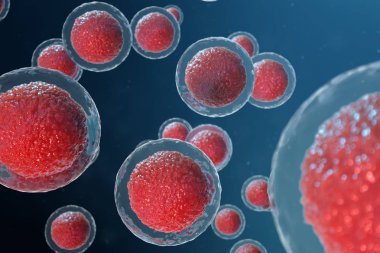 3D illüstrasyon yumurta hücreleri embriyo. Merkezinde kırmızı çekirdeği olan embriyo hücreleri. İnsan veya hayvan yumurta hücreleri. Tıp bilimsel kavramı. Mikroskop altında hücresel düzeyde kalkınma yaşayan organizma.