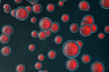 3D illüstrasyon yumurta hücreleri embriyo. Merkezinde kırmızı çekirdeği olan embriyo hücreleri. İnsan veya hayvan yumurta hücreleri. Tıp bilimsel kavramı. Mikroskop altında hücresel düzeyde kalkınma yaşayan organizma.