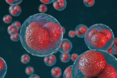 3D illüstrasyon yumurta hücreleri embriyo. Merkezinde kırmızı çekirdeği olan embriyo hücreleri. İnsan veya hayvan yumurta hücreleri. Tıp bilimsel kavramı. Mikroskop altında hücresel düzeyde kalkınma yaşayan organizma.