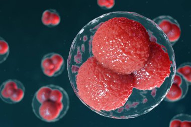 3D illüstrasyon yumurta hücreleri embriyo. Orta kırmızı nükstler ile embriyo hücreleri. İnsan veya hayvan yumurta hücreleri. Tıp bilimsel kavramı. Mikroskop altında hücresel düzeyde kalkınma yaşayan organizma.