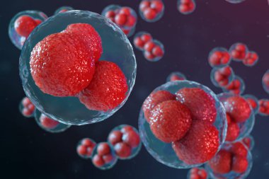 3D illüstrasyon yumurta hücreleri embriyo. Orta kırmızı nükstler ile embriyo hücreleri. İnsan veya hayvan yumurta hücreleri. Tıp bilimsel kavramı. Mikroskop altında hücresel düzeyde kalkınma yaşayan organizma.