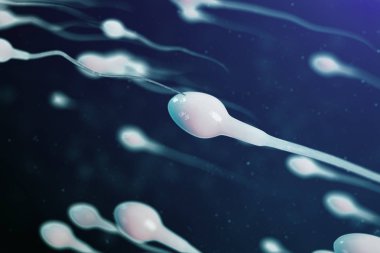 3D illüstrasyon sperm yumurta hücresi, Ovum yaklaşıyor. Doğal döllenme-yakın çekim görünümü. Yeni bir hayatın başlangıcı. Mikroskop altında sperm, hareket sperm