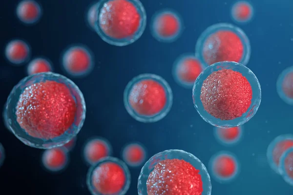 3D απεικόνιση εμβρύων ωαρίων. Εμβρυϊκά κύτταρα με κόκκινο πυρήνα στο κέντρο. Ανθρώπινα ή ζωικά ωάρια. Ιατρική επιστημονική αντίληψη. Ανάπτυξη έμβιων οργανισμών σε κυτταρικό επίπεδο στο μικροσκόπιο. — Φωτογραφία Αρχείου