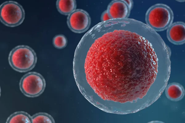 3D illustratie ei cellen embryo. Embryo cellen met rode kern in het midden. Menselijke of dierlijke eicellen. Geneeskunde wetenschappelijk concept. Ontwikkeling levend organisme op cellulair niveau onder Microscoop. — Stockfoto