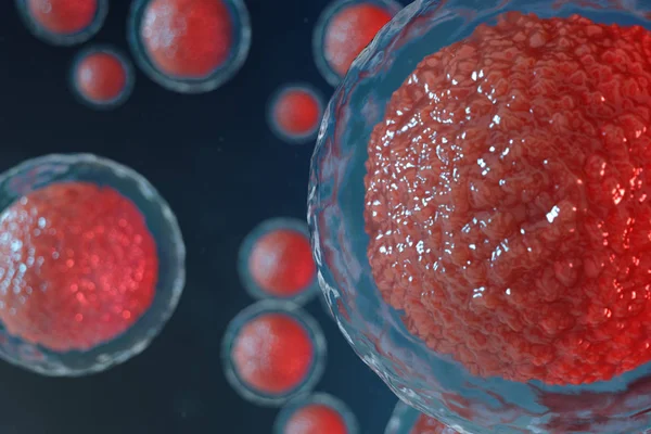 3D illüstrasyon yumurta hücreleri embriyo. Merkezinde kırmızı çekirdeği olan embriyo hücreleri. İnsan veya hayvan yumurta hücreleri. Tıp bilimsel kavramı. Mikroskop altında hücresel düzeyde kalkınma yaşayan organizma. — Stok fotoğraf