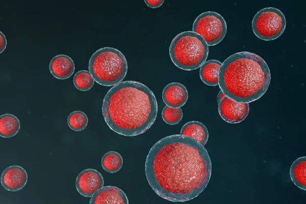 Ilustración 3D embriones de óvulos. Células embrionarias con núcleo rojo en el centro. Huevos humanos o animales. Concepto científico de medicina. Desarrollo del organismo vivo a nivel celular bajo el microscopio . —  Fotos de Stock