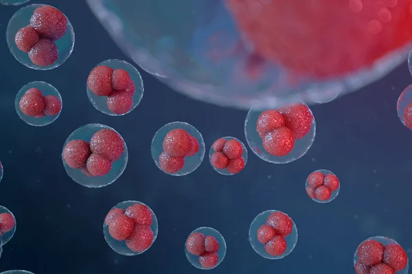 Embrio sel telur ilustrasi 3D. Sel embrio dengan nukleus merah di tengah. Sel telur manusia atau hewan. Kedokteran konsep ilmiah. Mengembangkan organisme hidup pada tingkat sel di bawah mikroskop . — Stok Foto