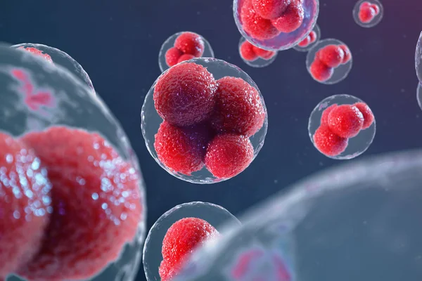 3D illustration ägg celler embryo. Embryonala celler med röda nukleuses i centrum. Ägg celler från människor eller djur. Medicin vetenskapligt begrepp. Utveckling bosatt organism på cell nivå under Mikroskop. — Stockfoto