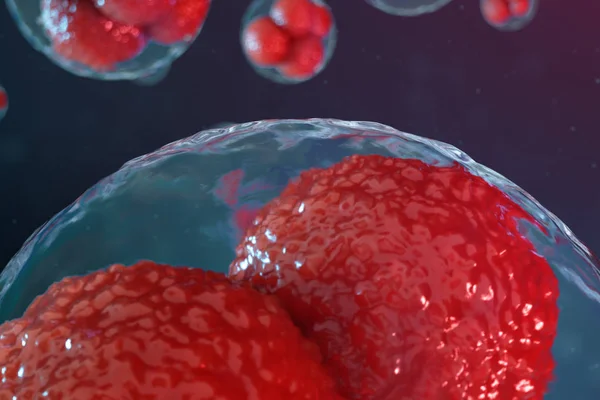 Embrio sel telur ilustrasi 3D. Sel embrio dengan nukleus merah di tengah. Sel telur manusia atau hewan. Kedokteran konsep ilmiah. Mengembangkan organisme hidup pada tingkat sel di bawah mikroskop . — Stok Foto