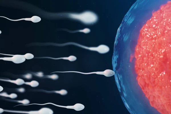 Ilustração 3D esperma e óvulo, óvulo. Esperma a aproximar-se dos óvulos. Fertilização nativa e natural. Concepção o início de uma nova vida. Ovum com núcleo vermelho sob o microscópio, movimento de esperma — Fotografia de Stock