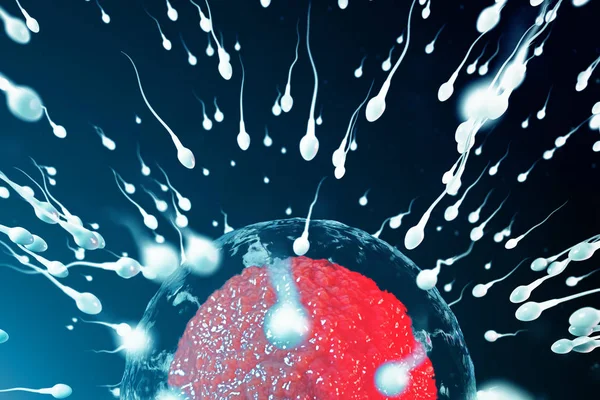 3D illustration sperm and egg cell, ovum. Sperm approaching egg cell. Native and natural fertilization. Conception the beginning of a new life. Ovum with red core under the microscope, movement sperm — Stock Photo, Image