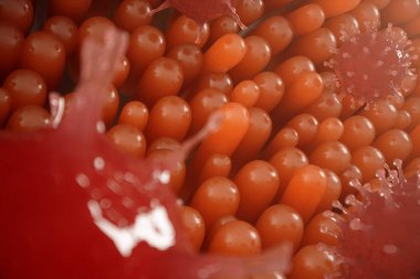 Bağırsak villi, mukoza bağırsak. Bağırsaklarda bakteri ve mikroplar. Mikroskobik villi ve kılcal. İnsan bağırsağı, kronik hastalık. Hepatit virüsleri, grip, hücre enfeksiyonları, 3d Rendering