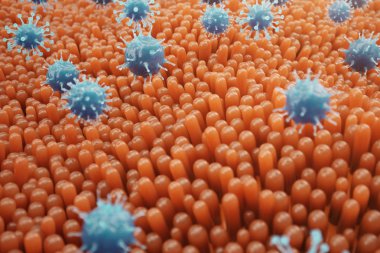 Bağırsak villi, mukoza bağırsak. Bağırsaklarda bakteri ve mikroplar. Mikroskobik villi ve kılcal. İnsan bağırsağı, kronik hastalık. Hepatit virüsleri, grip, hücre enfeksiyonları, 3d Rendering