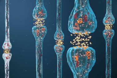 Sinaptik iletim, insan sinir sistemi. Kavram bilinci. Beyin sinapsları. İletim sinaps, sinyaller, beyindeki impulslar, hücresel veya atomik düzeyde bilgi aktarımı, 3d Rendering