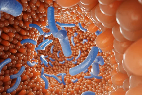 Kosmków jelitowych, błon śluzowych jelit. Bakterie i drobnoustroje w jelitach. Mikroskopijne kosmki i kapilarne. Jelito ludzkie, Choroba przewlekła. Wirusy zapalenia wątroby, grypa, infekcje komórkowe, renderowanie 3D — Zdjęcie stockowe