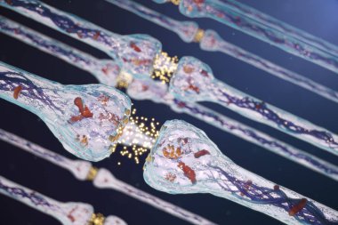 Sinaptik iletim, insan sinir sistemi. Kavram bilinci. Beyin sinapsları. İletim sinaps, sinyaller, beyindeki impulslar, hücresel veya atomik düzeyde bilgi aktarımı, 3d Rendering