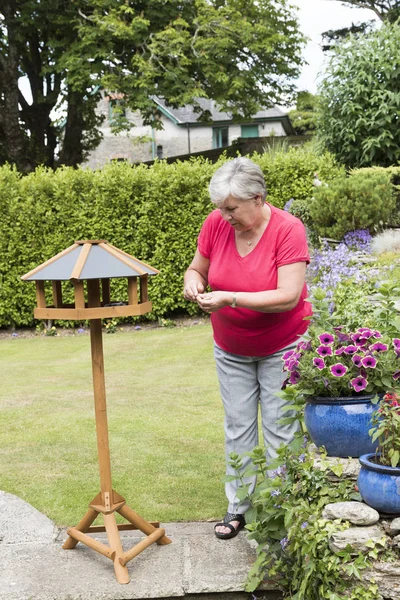 Mujer Colocando Comida Para Pájaros Nuevo Comedero Pájaros Madera Jardín —  Fotos de Stock