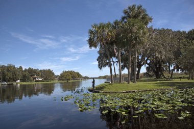 Hontoon Island State Park Florida ABD - Ekim 2016 - The Hontoon Island Eyalet Parkı Deland Florida yakın St Johns Nehri üzerinde