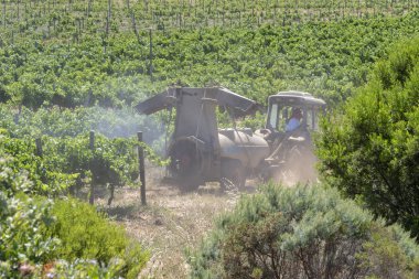 Waterkloof Wine Estate Somerset West, Western Cape, Güney Afrika. Traktör sarmaşıklar yaz aylarında püskürtme iş başında.