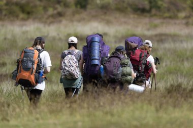 Dartmoor Milli Parkı, Devon, İngiltere, İngiltere'de. Bir grup altı genç kadını Kuzey Dartmoor bölgede hiking.