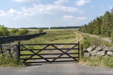 Beş bar bir çiftlik giriş kapısında. Devon, İngiltere
