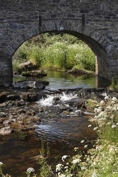 Keleti Dart Folyó Alatt Stonebridge Mely 1780 Hamlet Postbridge Dartmoor — Stock Fotó