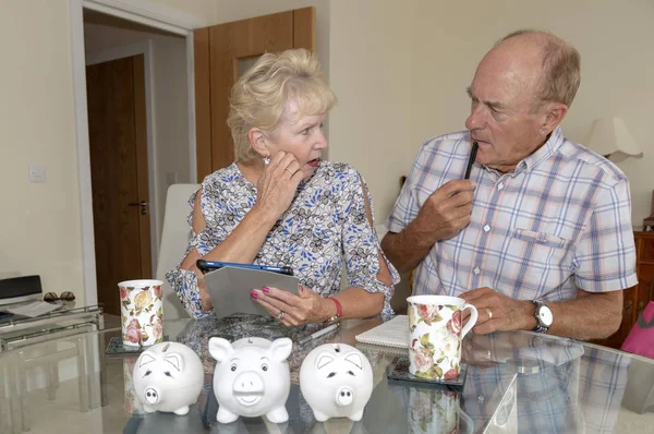 Elderly couple checking their expenditure and savings, Using Piggy Bank for an excess cash.