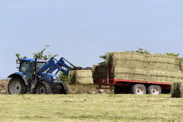 Traktor Som Laddar Halmbalar Gården Fordonet Släpvagn Vid Skörd Princetown — Stockfoto