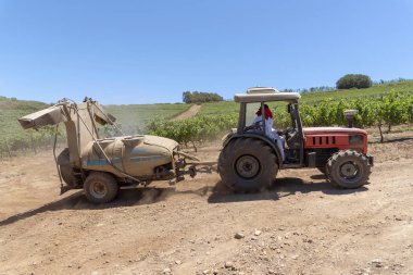 Waterkloof Wine Estate Somerset West, Western Cape, Güney Afrika. Traktör sarmaşıklar yaz aylarında püskürtme iş başında.