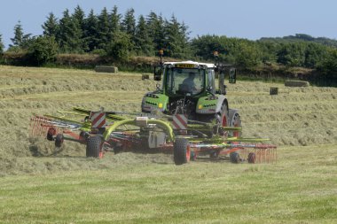 Dartmoor, Devon, England, UK Haymaking on a Devonshire farm using a Claas Liner swath laying machine  clipart