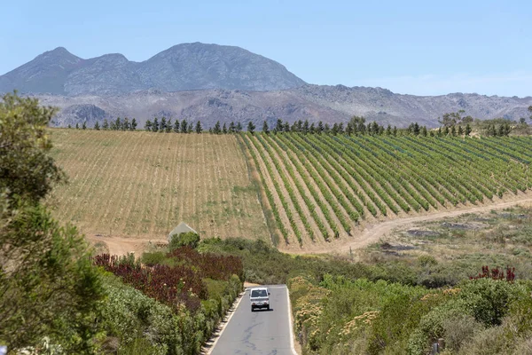 Waterkloof Wine Estate Somerset West Western Cape Africa Sud Vedere — Fotografie, imagine de stoc