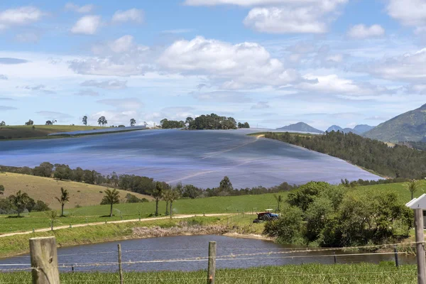 Plastic Sheeting Covering Farmland Outeniqua Mountains Region Close George South — Stock Photo, Image