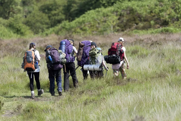 Dartmoor Milli Parkı, Devon, İngiltere, İngiltere'de. Bir grup altı genç kadını Kuzey Dartmoor bölgede hiking.