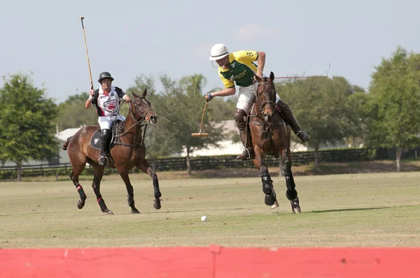 Ação Durante Uma Partida Pólo Villages Polo Club Florida Eua — Fotografia de Stock