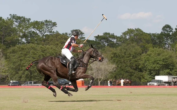 Ação Durante Uma Partida Pólo Villages Polo Club Florida Eua — Fotografia de Stock