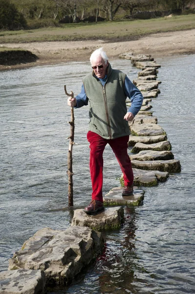 Anciano Caminando Través Escalones Sobre Río Ewenny Ogmore Valle Glamorgan —  Fotos de Stock