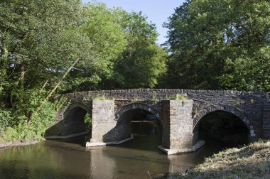 Lifton köprü nehir Lyd Devon İngiltere'de '