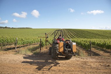 Ekipman kesim üstleri Vines bahar Western Cape Güney Afrika için kırpma ile traktör