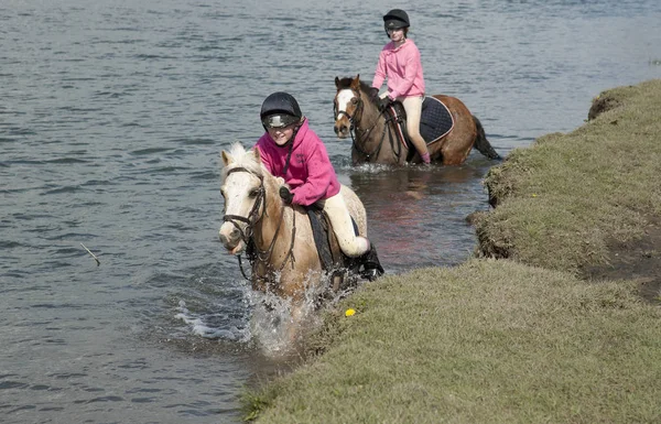 Pilotos Pônei Atravessando Rio Ewenny Ogmore Vale Glamorgan Wales — Fotografia de Stock